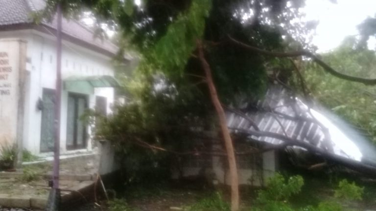 Kewajiban Pemerintah Daerah untuk Melakukan Pemangkasan Pohon Sebagai Bentuk Upaya Meminimalisir Dampak Kerugian Akibat Bencana Angin Puting Beliung