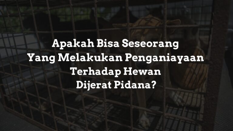 Apakah Bisa Seseorang Yang Melakukan Penganiayaan Terhadap Hewan Dijerat Pidana?