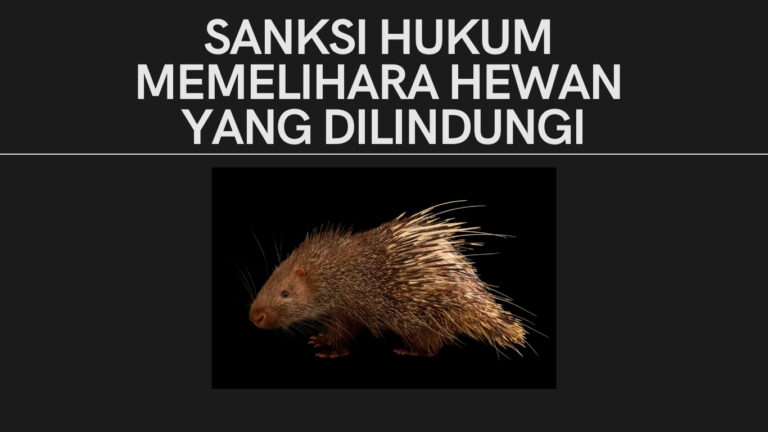 Sanksi Hukum Memelihara Hewan Yang Dilindungi